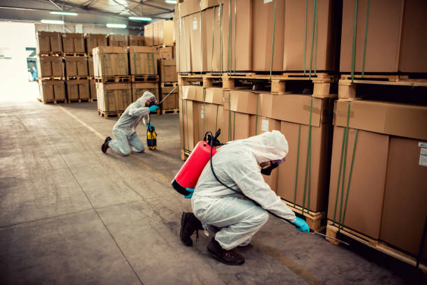 Best Local Pest Control Services  in Egypt, PA