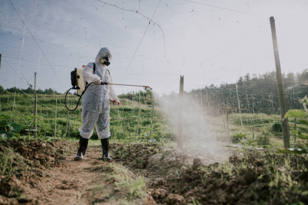 Best Commercial Pest Control Services  in Egypt, PA
